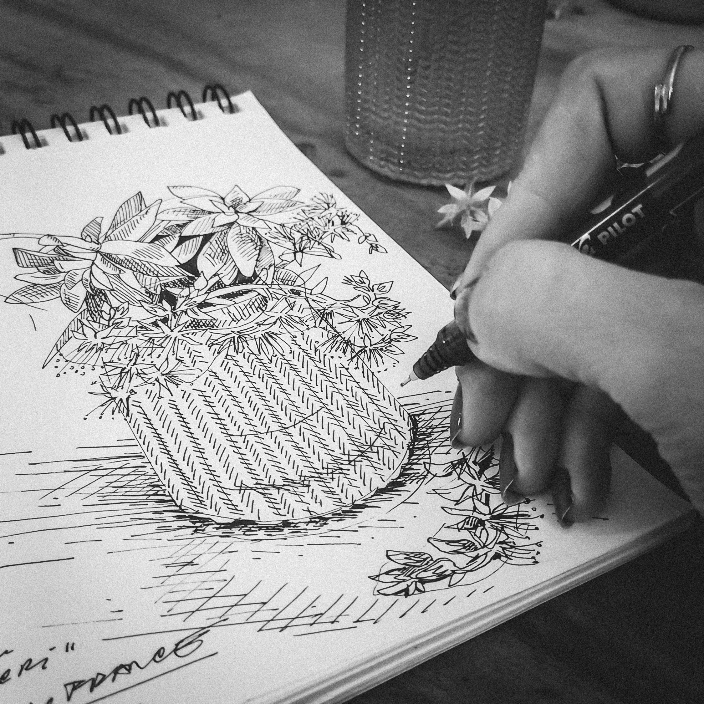 Sketching by Yvetta Blayac Hanlova, 2024