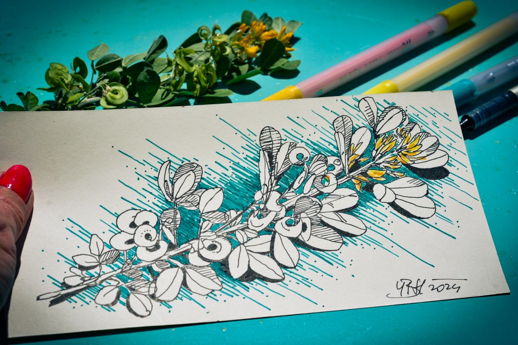 Sketching by Yvetta Blayac Hanlova, 2024